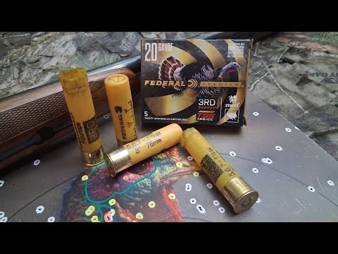 Federal Premium 3rd Degree, magnum-length 20 gauge.