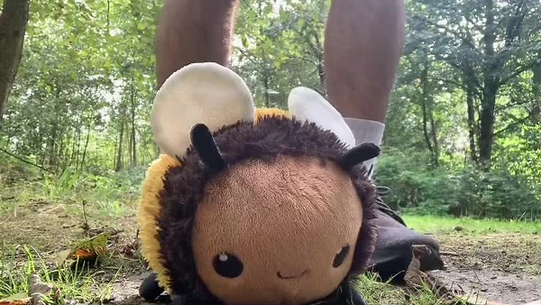 old video when i trampled a bee plush #squishable #squishables #beeplushie #squishableabuse #plushdestruction #tramplingstuffedanimal #stuffie