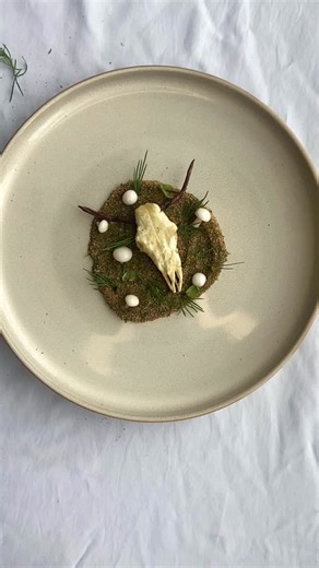 Noah Polka | Bone marrow glazed celery root, burnt cauliflower purée, herb crumble, maple whiskey gel, pickled shimeji mushroom, mushroom chip | Instagram