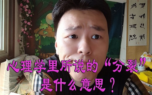 心理学里所说的“分裂”是什么意思？