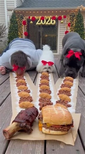 d670b13c d55a 4b2a 9a8f cb1a80faa46a