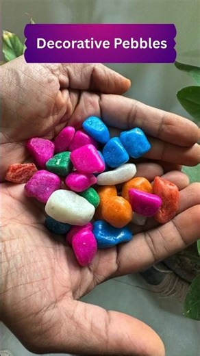 Colorful Pebbles for Stunning Garden & Landscaping!!