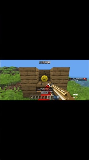 Minecraft I kill variety #minecraft #shortvideo #gaming