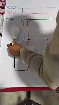How to Connect a Light Bulb and Outlet with a Switch #electricity