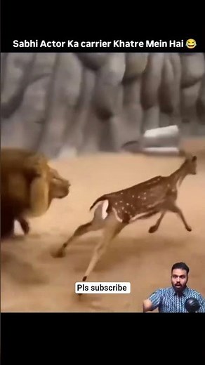 🦁 work for directors and dear