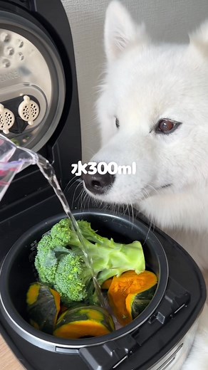 かぼちゃ丸ごとハロウィンスープレシピとサモエドの爆食エピソード！