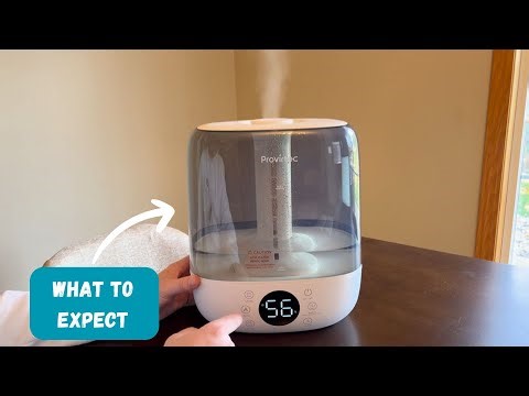 What to Expect | Self Cleaning Warm Misting Humidifier from Provirtec