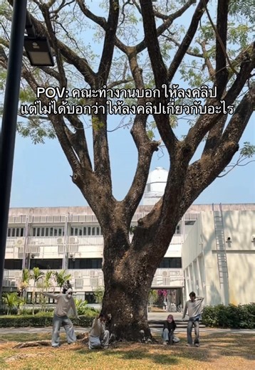ผู้พิทักษ์ป่าสังวิทมาแล้วค้าบ 🌳#มช #สังคมศาตร์ #สังวิท #cmu #สังวิทมช