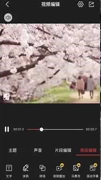 VideoShow Video Editor Trendy Filters