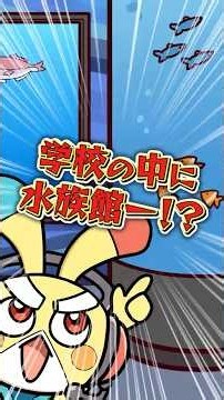 本当にある激レア小学校3選 #ペケッツ #雑学