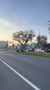 Brentwood garden Los Angeles California 😍🇺🇸 | Life in America