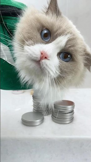 Mission impossible in squid game! #PuffTokiDoki #TokiDoki #Mesucalife #thatlittlepuff