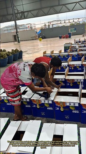 Fast Box Stapling Process – Mass Packaging Done Right!