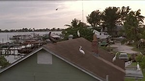 Great Expectations R 1998 ‧ Romance/Drama ‧ 1h 56m Welcome to the movies and television