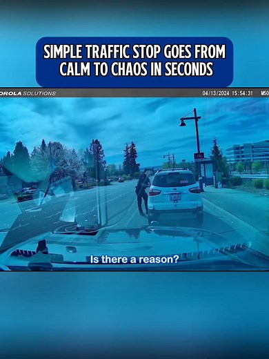 Simple traffic stop goes from calm to chaos in seconds #bodycam #camera #police #cop #usa #us | Best Show LosAngeles