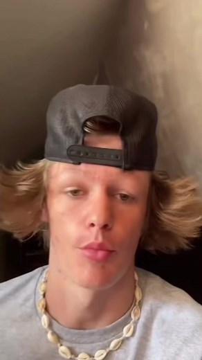 Funny Cat Memes That Will Make You Laugh