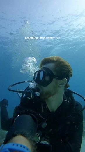 Exploring the Great Barrier Reef: A Scuba Adventure