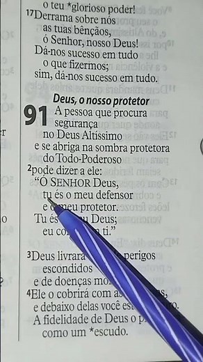 Psalm 91:1-6 Reading from the Holy Bible NTLH Narrator Cid Moreira #psalm91 #psalm