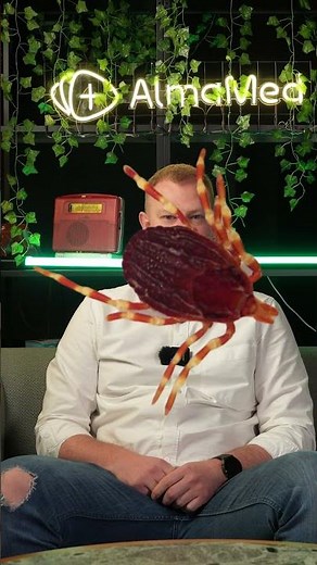 🕷️ Afrykański kleszcz w Polsce?!