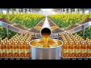 How Mustard Oil is Made: Inside a Modern Factory Tour from Seeds to Bottle (Full Process)