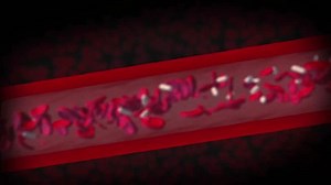 Visualization Blood Cell Flow Stock Footage Video (100% Royalty-free) 1106862791 | Shutterstock