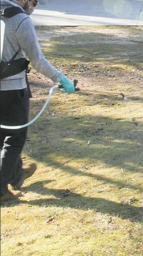 Why should I apply a spring pre-emergent herbicide? | DoMyOwn.com