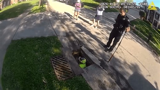 Greater Cincinnati police, public works team rescue dog from sewer, reunite it with owner