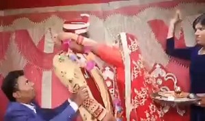 78K views · 2.2K reactions | When #GujratModel is implemented in Bihar you call it a Dry state & also a double engine Sarkar wait for the masterstroke in the end. #Gobi_Hai_Tho_Pumpkin_Hai #GobiHaiTohGareebiHai | Sandeep Vangala | Facebook