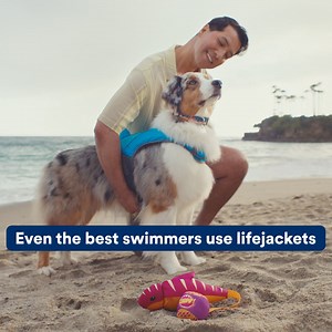 244K views · 1.4K reactions | Keep your land shark safe when out on the water with you this summer | Petco | Facebook