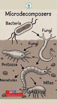 THE WORLD OF MICRO DECOMPOSERS #edukaeducation #chemistry #waterconservation