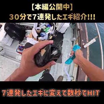 【明石船タコ釣り】３０分で７連発した最強エギ!!!※本編公開中 #釣り #船タコ釣り #タコ釣り #明石タコ釣り #釣りガール