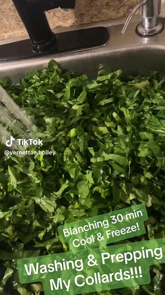#fyp #collards #washing #prepping #blanching #freezinggreens #thanksgiving #cooking