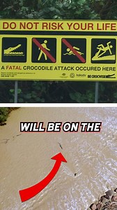 Ya wouldn't catch me drivin' through those croc infested waters! #outbacktruckers #truckshow #truckerlife #crocodiles | Outback Truckers
