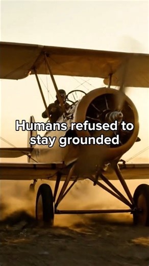 Humans Refused to Stay Grounded… 😳 | 24s Evolution