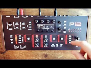 Dave Smith Instruments (DSI) Prophet 12 Module - Review/Walkthrough/Tutorial