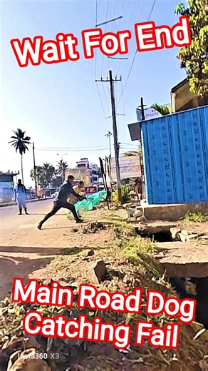 Main Road Dog Catching Fail #dog #dogwithpublicsafety #ytviral #pets #dogshorts #shorts #animals