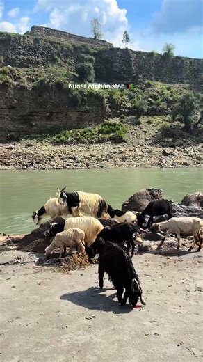 This Place in Kunar Province (Asmar District–Dambaro Valley) Will Shock You 😳🇦🇫 #afghanistan #kunar