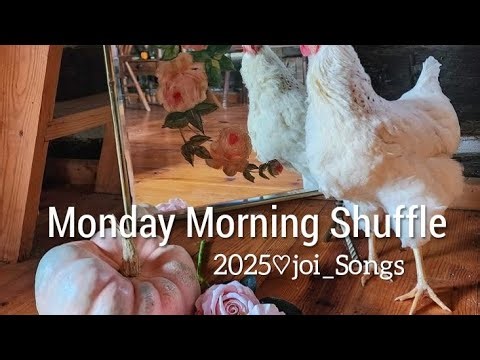 Monday Morning Shuffle #growingolder #mondaysongs #mondaymotivation #humour #keepgoing