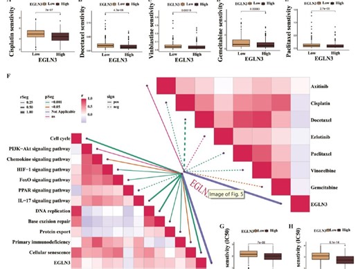 肿瘤药敏分析（计算出来的是IC50）