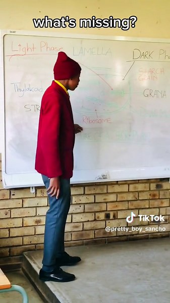 Life Science Exam Paper Preparation Tutorial