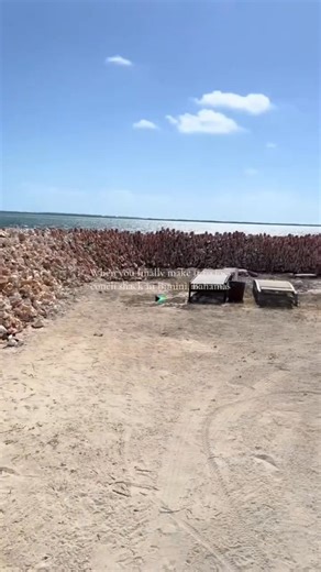 464K views · 4.5K reactions | 類 You haven’t truly been to Bimini if...