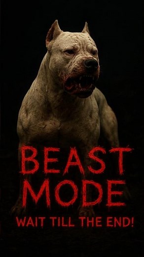 Giant Dogo Argentino Shows True Power | BEAST MODE Activated, 💪 dogo