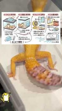 エアコンなしで夏を乗り切れる？