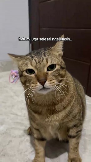 Mengenal Rumah Gadang: Arsitektur Minangkabau