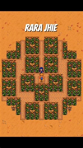Quality Sprinkler Layout for Trellis Crops part 6 in Stardew Valley #stardewvalley #shorts #games