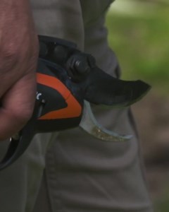 40K views · 457 reactions | Verfolgen Sie alle Neuigkeiten über PELLENC  | Pellenc | Facebook