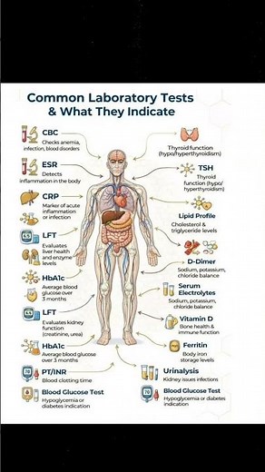 Common Laboratory test and what they indicate
