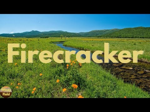 Josh Turner - Firecracker (Lyrics)