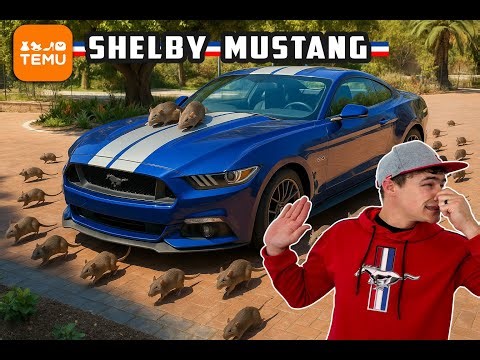 Fixing My RAT Infested Temu Shelby Mustang!!!