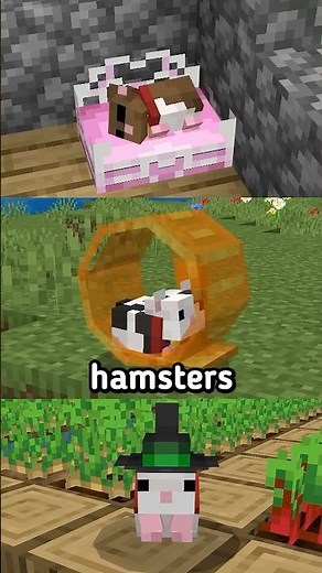 Hamsters are now in MINECRAFT!